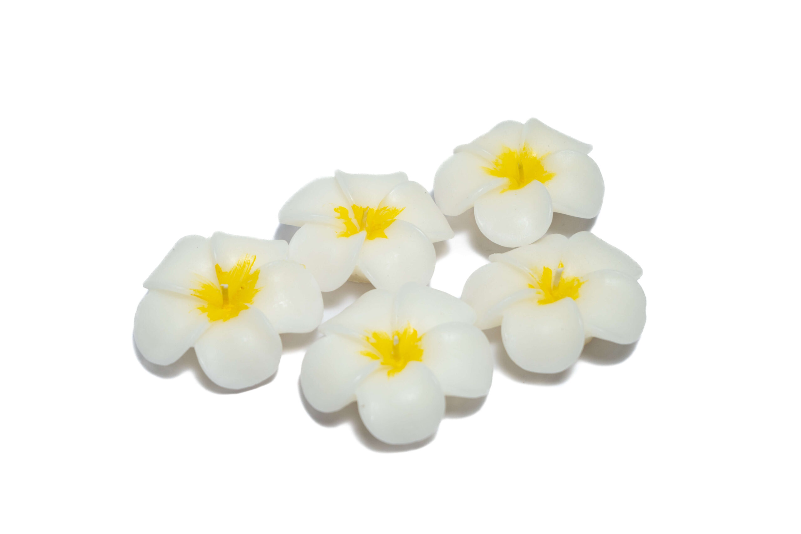 flowers-white-yellow